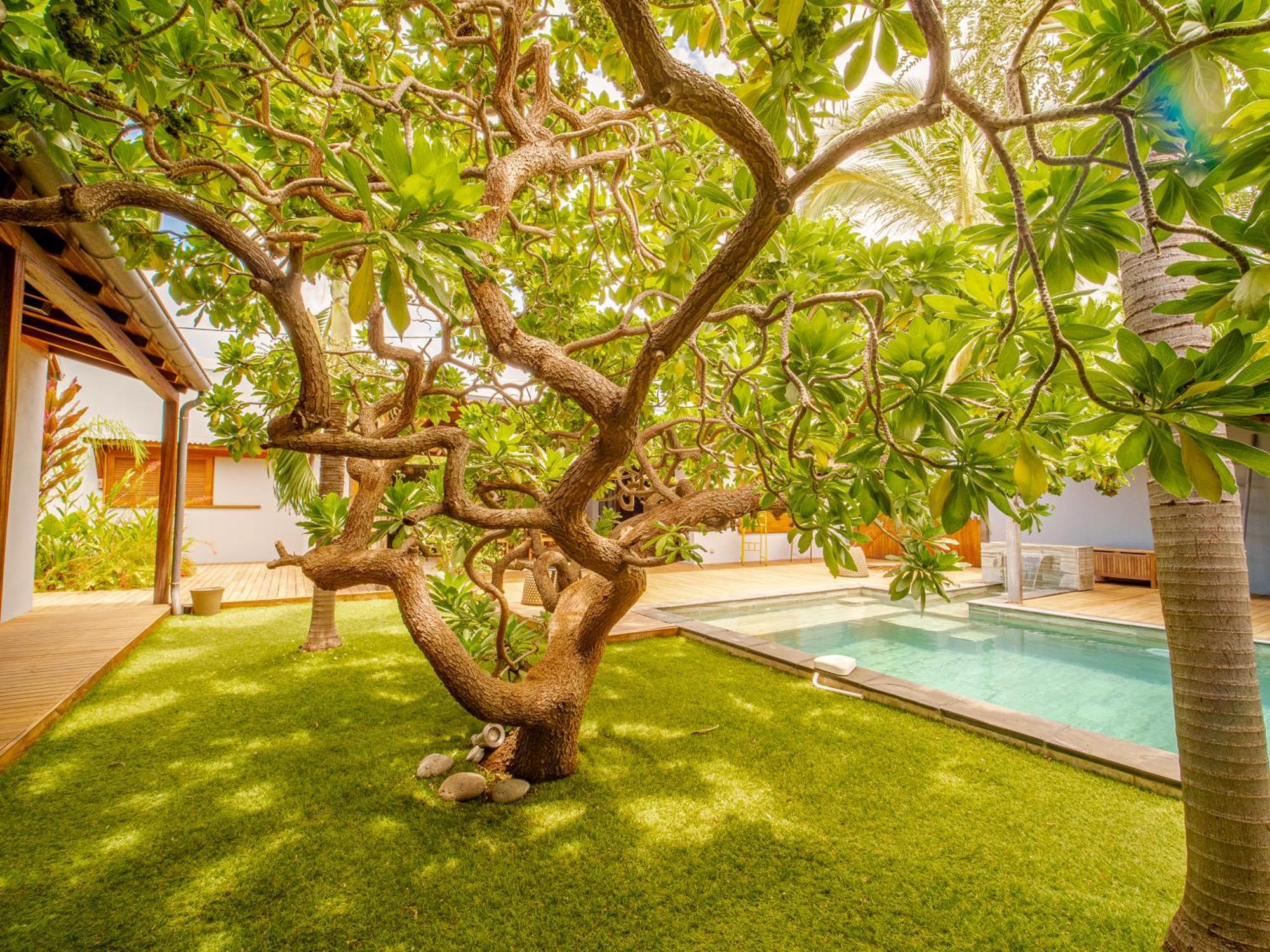 לה סאלין לה ביינס La Kaz Veloutier - Villa 4 Chambres Avec Piscine מראה חיצוני תמונה